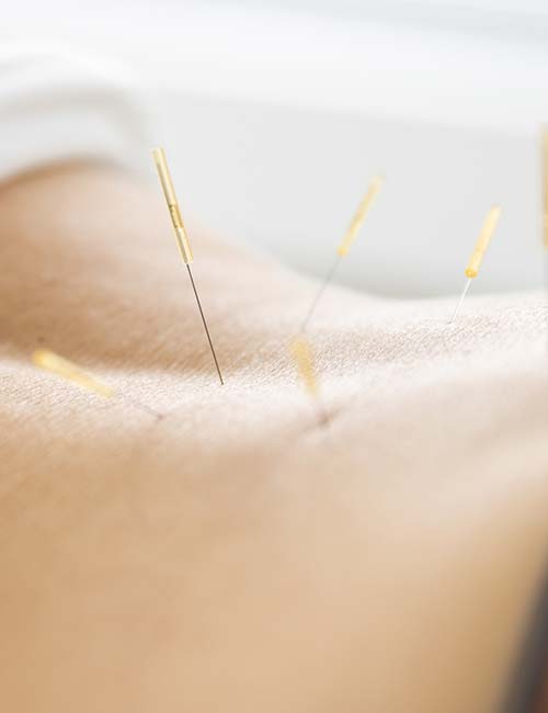 Jan Mende Unna Osteopathie Hände halten ein Model der menschlichen Wirbelsäule