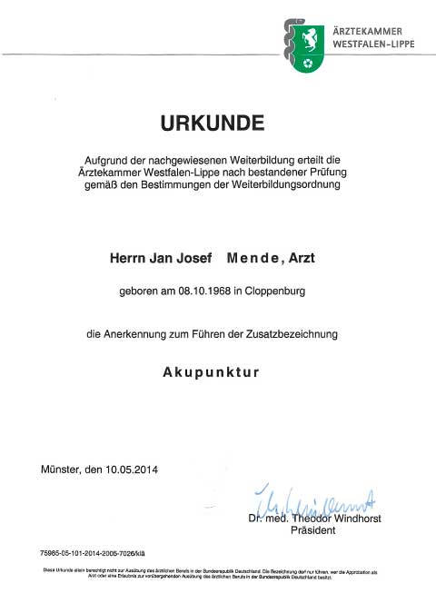 Jan Mende Unna Urkunde Akupunktur